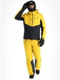 Miniaturansicht 4F, Technical Jacket  M284 Skijacke Herren Yellow gelb, schwarz 