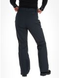 Miniaturansicht 4F, Trousers Fnk  F398 Skihose Damen Black schwarz 