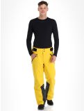 Miniaturansicht 4F, Trousers Fnk  M343 Skihose Herren Yellow gelb 