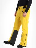 Miniaturansicht 4F, Trousers Fnk  M343 Skihose Herren Yellow gelb 