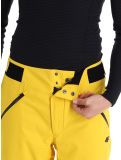 Miniaturansicht 4F, Trousers Fnk  M343 Skihose Herren Yellow gelb 