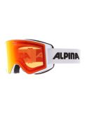 Miniaturansicht Alpina, Alpina Narkoja Hm Skibrille Unisex weiß 