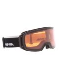 Miniaturansicht Alpina, Arris Q Skibrille Unisex Black Matt schwarz 