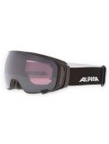 Miniaturansicht Alpina, Double Jack Mag Q Skibrille extra Linse Unisex Black Matt schwarz 