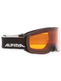 Miniaturansicht Alpina, Nakiska Skibrille Unisex Black Matt schwarz 