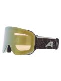 Miniaturansicht Alpina, Penken Q-Lite Skibrille Unisex Willow Green Matt grün 