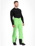 Miniaturansicht Dare2b, Achieve II Skihose Herren Green Flash grün 