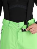 Miniaturansicht Dare2b, Achieve II Skihose Herren Green Flash grün 