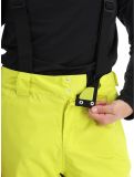 Miniaturansicht Dare2b, Achieve II Skihose Herren Neon Spring grün 