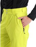 Miniaturansicht Dare2b, Achieve II Skihose Herren Neon Spring grün 