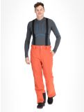 Miniaturansicht Dare2b, Achieve II Skihose Herren Orange Rust orange 