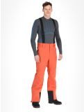 Miniaturansicht Dare2b, Achieve II Skihose Herren Orange Rust orange 