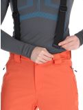 Miniaturansicht Dare2b, Achieve II Skihose Herren Orange Rust orange 