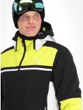 Miniaturansicht Dare2b, Amplitude Skijacke Herren Neon Spring/Black grün, schwarz 