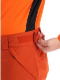 Miniaturansicht Dare2b, Baseplate Skihose Herren Rooibos Tea / Puffins Orange orange 