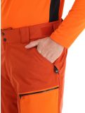 Miniaturansicht Dare2b, Baseplate Skihose Herren Rooibos Tea / Puffins Orange orange 