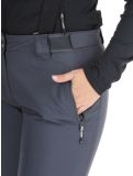 Miniaturansicht Dare2b, Diminish Skihose Damen Ebony Grey grau 