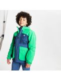 Miniaturansicht Dare2b, Esteem Jacket Skijacke Kinder vivid grün