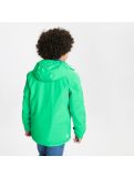 Miniaturansicht Dare2b, Esteem Jacket Skijacke Kinder vivid grün