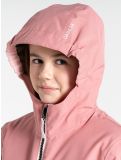 Miniaturansicht Dare2b, Steazy III Skijacke Kinder Dusty Rose / Olivine Green / Crystal Rose grün, rosa 