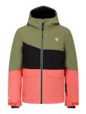 Miniaturansicht Dare2b, Steazy III Skijacke Kinder Olivine Green / Black / Orange Rust grün, orange, schwarz 