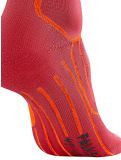 Miniaturansicht Falke, SK2 Intermediate Skisocken Herren Flash Orange orange 