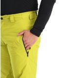 Miniaturansicht Helly Hansen, Legendary Skihose Herren Bright Moss grün 