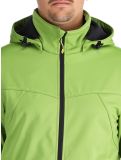 Miniaturansicht Icepeak, Biggs Softshell Skijacke Herren Asparagus grün 