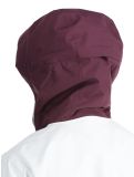 Miniaturansicht Icepeak, Cabot Hardshell Skijacke Damen Plum violett 