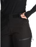 Miniaturansicht Icepeak, Calau Hardshell Skihose Damen Black schwarz 