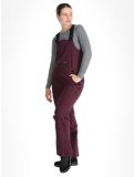 Miniaturansicht Icepeak, Cantrall Skihose Damen Plum violett 