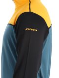 Miniaturansicht Icepeak, Caseville Pullover Herren Emerald grün 