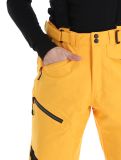 Miniaturansicht Icepeak, Ferrara Skihose Herren Yellow gelb 