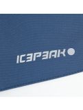 Miniaturansicht Icepeak, Fleming Softshell Skihose Herren blau 