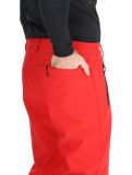 Miniaturansicht Icepeak, Frankfurt Softshell Skihose kurzes Modell Herren Coral-Red rot 