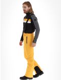 Miniaturansicht Icepeak, Freiberg Skihose langes Modell Herren Yellow gelb 