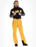 Miniaturansicht Icepeak, Freiberg Skihose langes Modell Herren Yellow gelb 