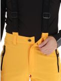 Miniaturansicht Icepeak, Freiberg Skihose langes Modell Herren Yellow gelb 