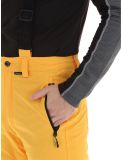 Miniaturansicht Icepeak, Freiberg Skihose langes Modell Herren Yellow gelb 