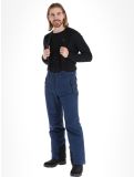 Miniaturansicht Icepeak, Freiberg Skihose kurzes Modell Herren Dark Blue blau 