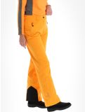 Miniaturansicht Icepeak, Freyung Skihose Damen Abricot orange 