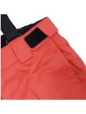 Miniaturansicht Icepeak, Lorena Jr Skihose Kinder Cranberry rot 