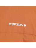 Miniaturansicht Icepeak, Loudon Jr Skijacke Kinder cognac braun