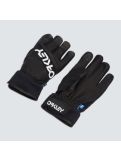 Miniaturansicht Oakley, Factory Winter Gloves 2.0 Skihandschuhe Unisex Blackout schwarz 