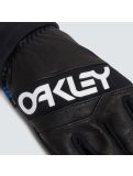 Miniaturansicht Oakley, Factory Winter Gloves 2.0 Skihandschuhe Unisex Blackout schwarz 