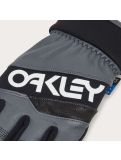 Miniaturansicht Oakley, Factory Winter Gloves 2.0 Skihandschuhe Unisex Uniform Grey/White grau, weiß 