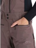 Miniaturansicht Picture, U66 Bib Hardshell Skihose BIB Herren Plum Truffle braun 