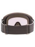 Miniaturansicht POC, Opsin Skibrille Unisex Raw Black / Partly Sunny Grey grau, schwarz 