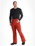 Miniaturansicht Protest, PRTMIKADO Skihose Herren Barn Red rot 