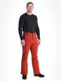 Miniaturansicht Protest, PRTMIKADO Skihose Herren Barn Red rot 